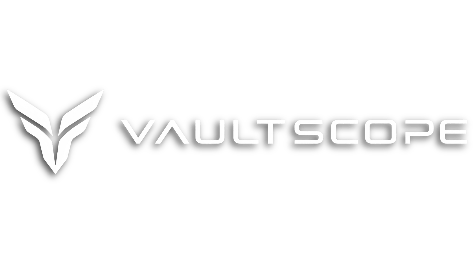 VaultScope screenshot 2